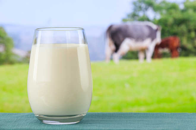 Cow''s milk harmful for toddlers below one year