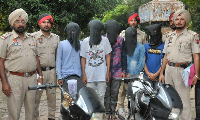 Gang of snatchers busted, five arrested
