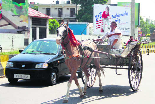 Tough ride for Jalandhar’s lone tongawala