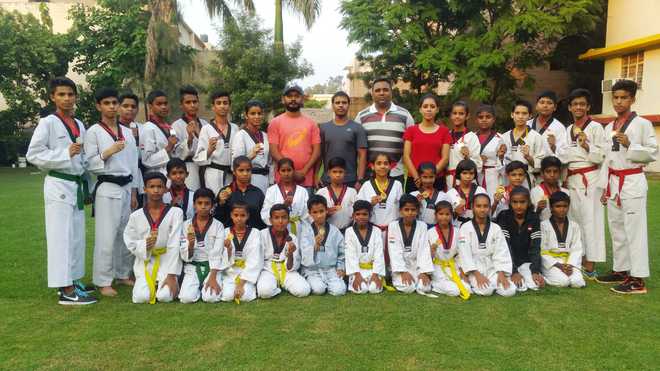 City taekwondo association returns with 19 gold medals