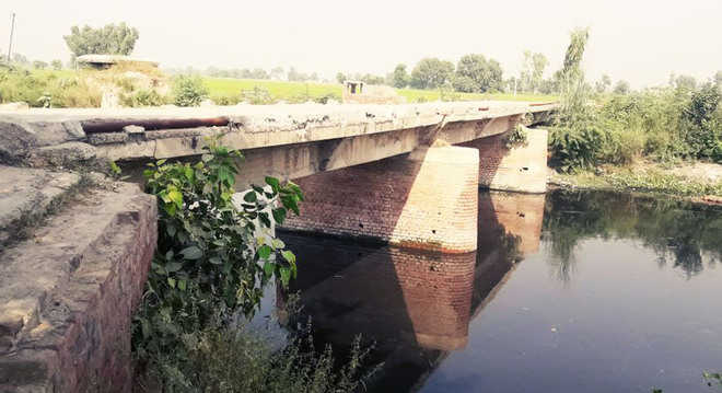 Govt apathetic towards risky bridges