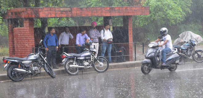 Image result for punjab heavy rain