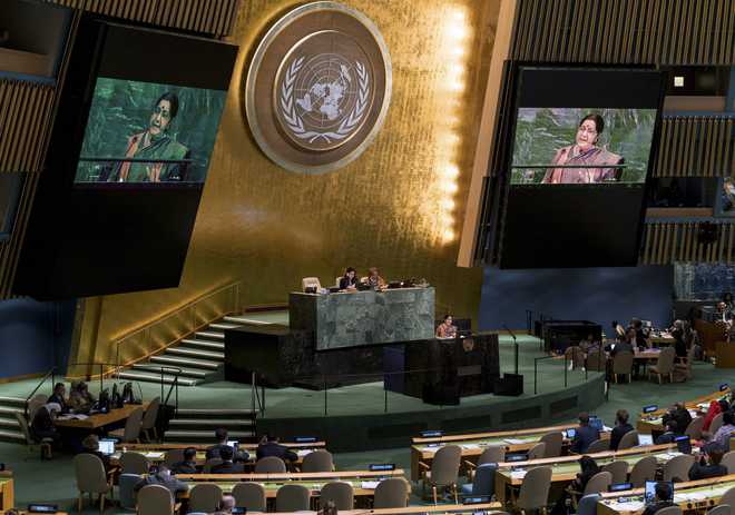 Growing question mark on maritime security, nukes: Swaraj