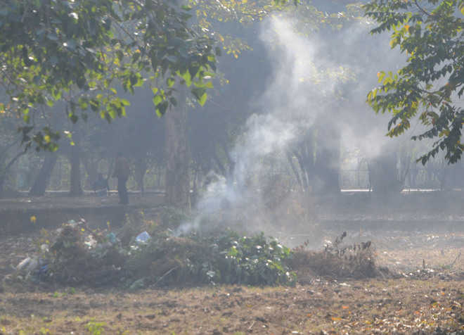 Check burning of green waste, dist admn urged