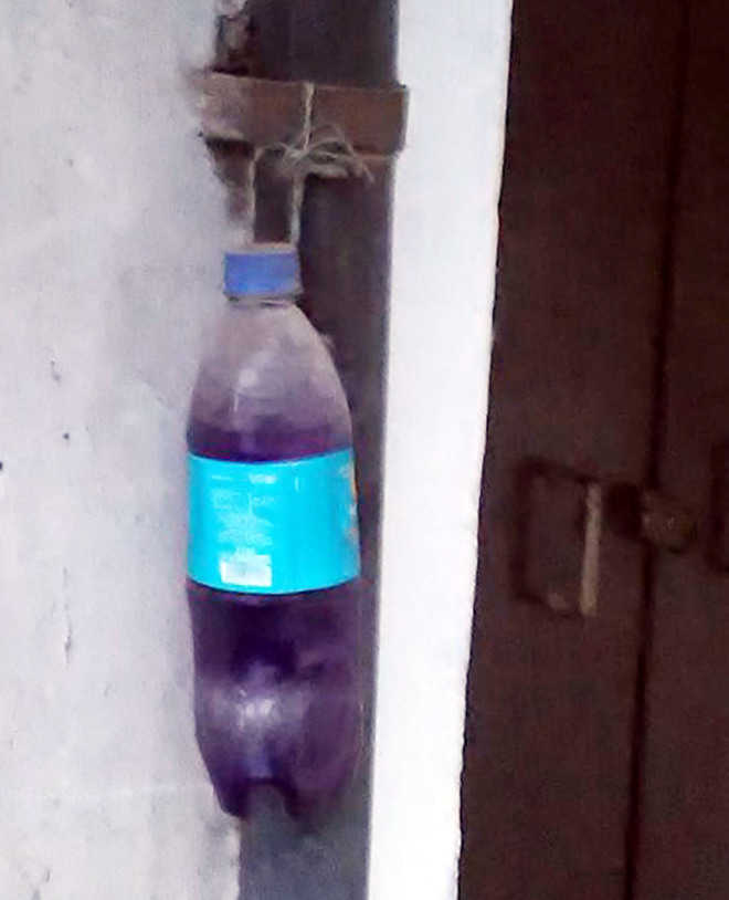 Blue water bottles shoo away dogs?