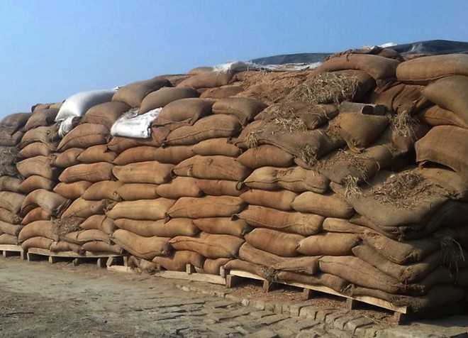 Dept to auction 4,100 quintals of damaged wheat