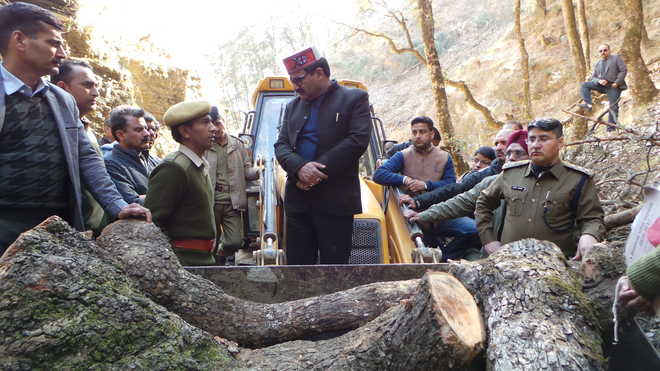 400 trees axed, officials’ role under scanner