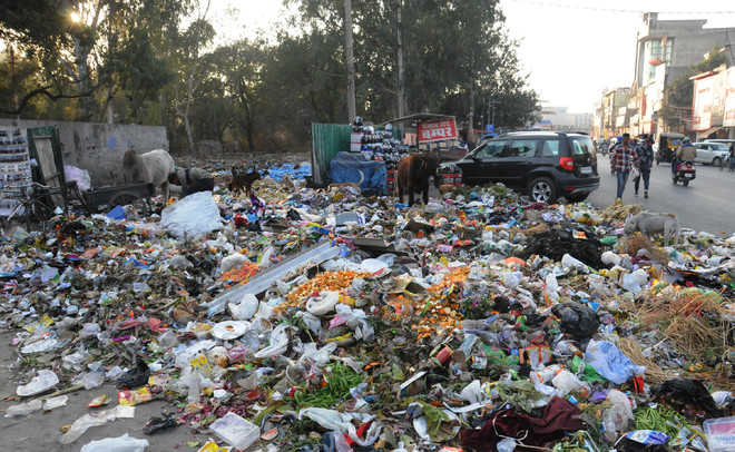 500 challans, Rs 4.5 lakh fine, yet few takers for Swachh Sarvekshan