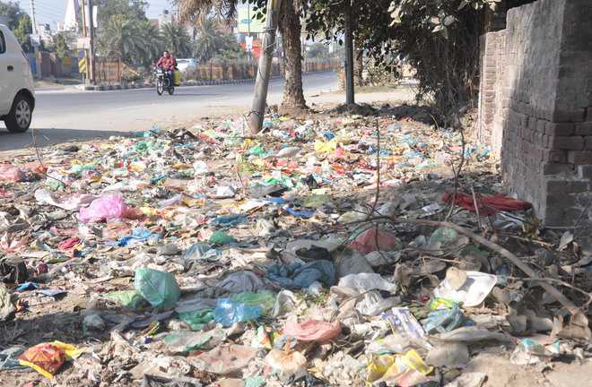 Garbage along airport road gives city a shabby look : The Tribune India