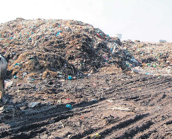 Waste-to-power project in the offing at Nakodar