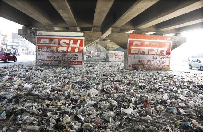 Under-stretches of city flyovers need cleaning