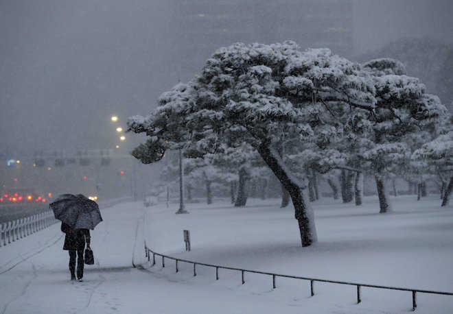 Snowstorm in Tokyo  disrupts normal life