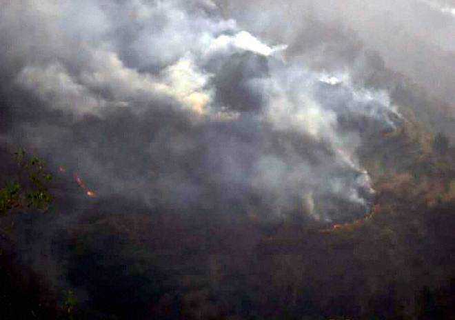 Forest fire threat looms after prolonged dry spell