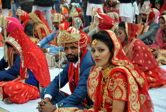 Mass Marriage 100 Couples Tie The Knot The Tribune India 