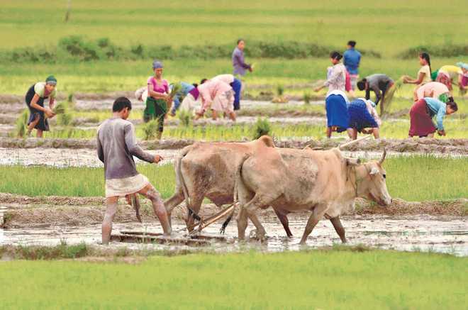 Will govt ensure fair prices to farmers?