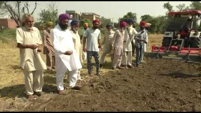Flouting ban, Sangrur villagers sow poppy