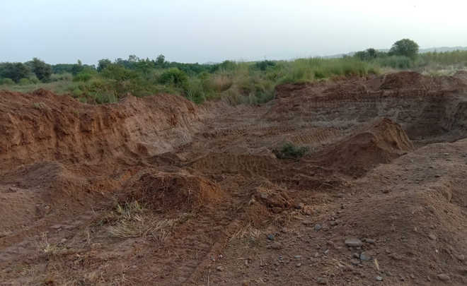 Illegal miners at it again in Mohali