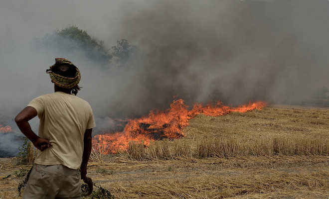 Image result for pollution due to farm burning waste haryana and punjab