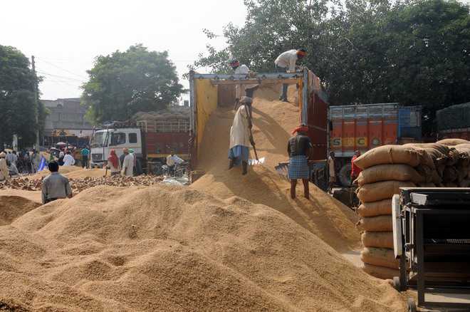 Traders bring paddy in trucks from other states