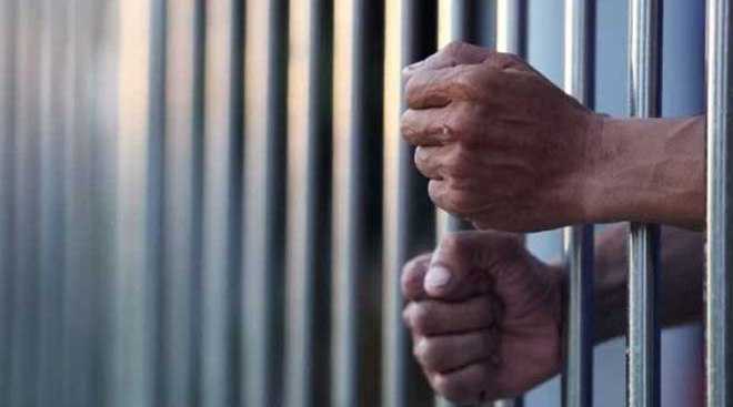 Land identified for new jails in Kullu, Mandi: DG