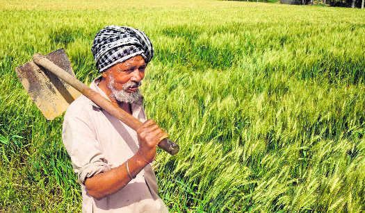 UK firm Skyline strikes insurance pact in India to protect farmers