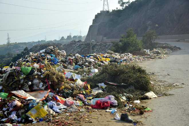 In Udhampur, hillside turns into garbage site