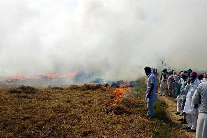 Farmers again burn paddy straw in protest