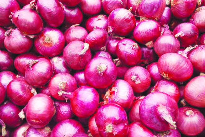 Centre moves in to check onion prices