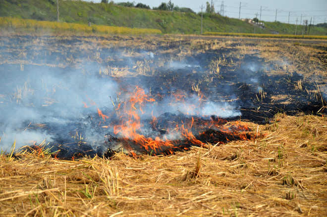 Students’ special drive to tackle straw burning