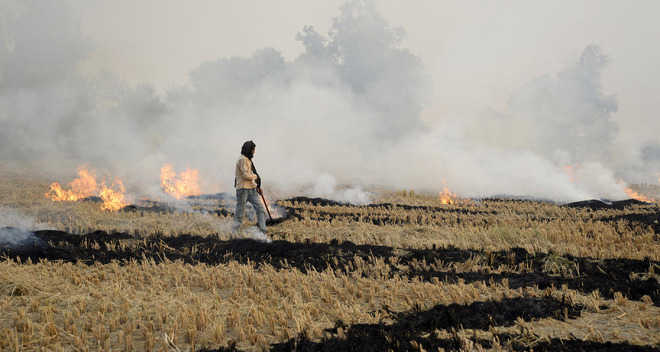 6 villages set example of not burning paddy straw