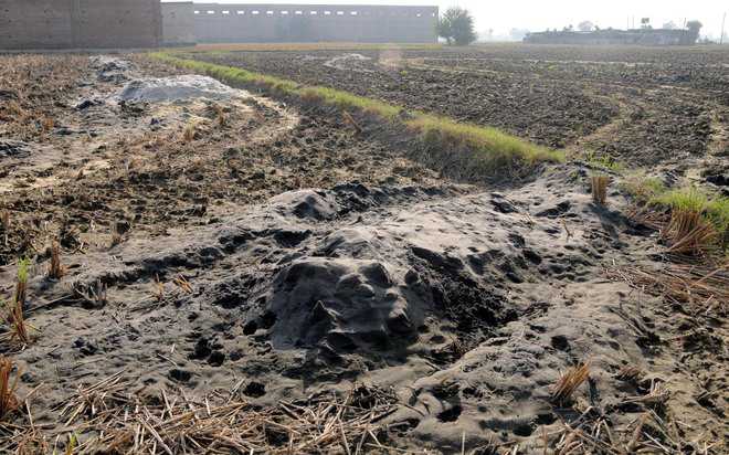 No let-up in waste disposal in open by Karnal rice mills