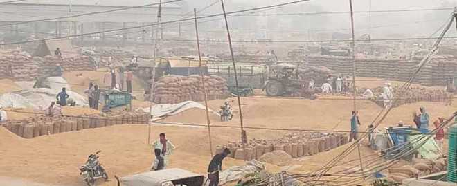 Basmati producers allege harassment by pvt traders