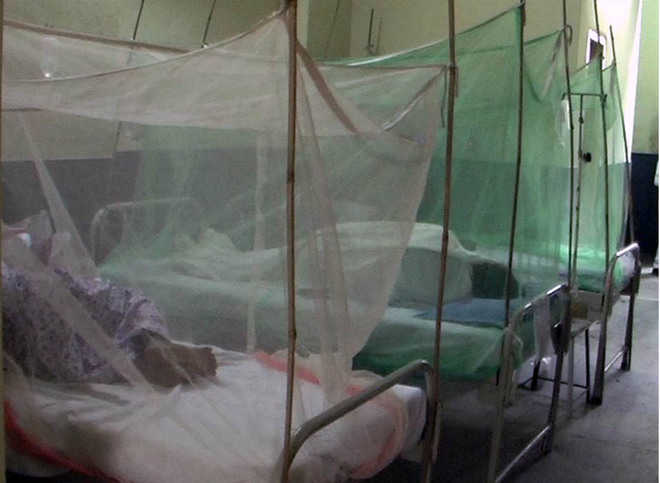 Punjab heading towards worst dengue outbreak