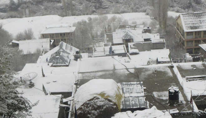Fresh snowfall cripples life in Lahaul