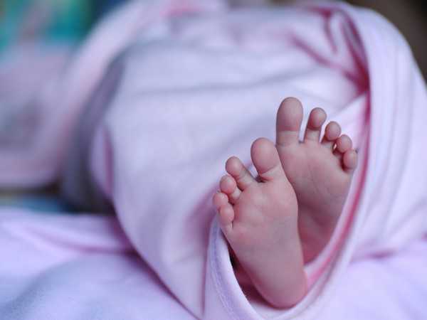 12-day-old baby mauled by monkey in Agra, dies