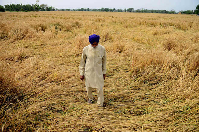 ‘Fresh start’ for Punjab’s farm indebtedness