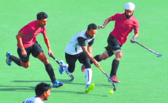 Yuvraj hat-trick floors Punjab & Sind Bank