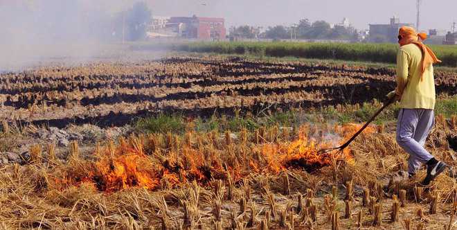 Over 1K farmers fined for burning paddy stubble