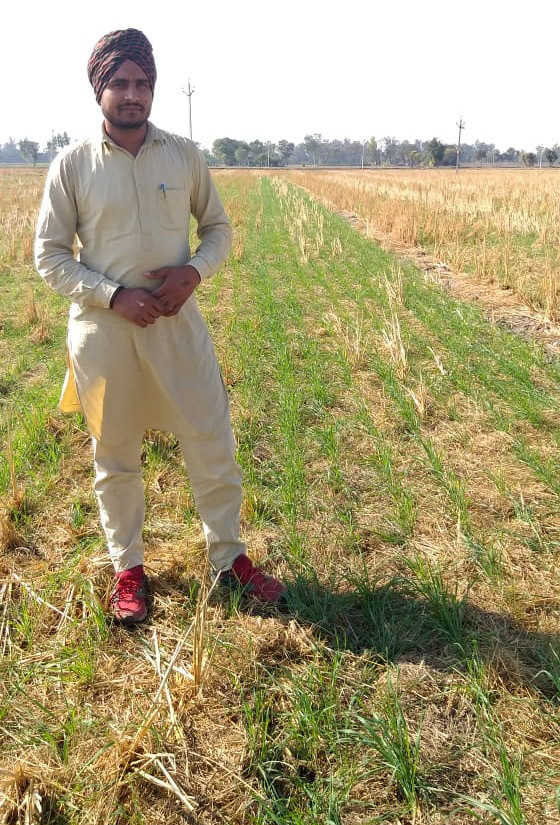 Jaid farmer shuns stubble burning, sets example