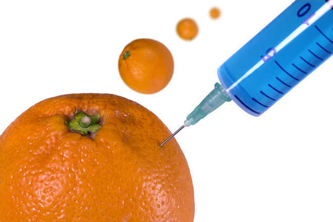Orange juice, berries may prevent memory loss in men