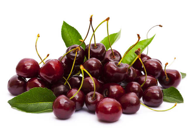 Cherry: Scent of the season