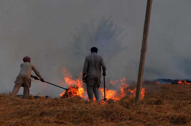 Ropar tops with 60 pc decline in stubble fires