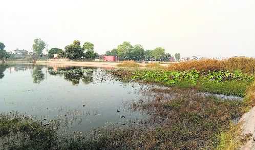 Muktsar Headworks’ Reservoirs Await Weeding Of Wild Growth : The ...