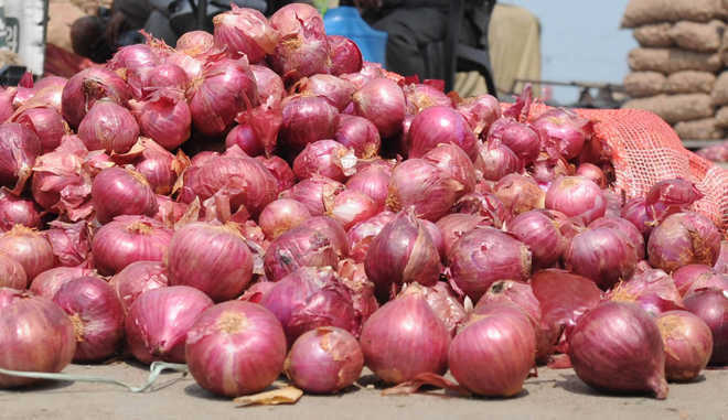 750 kg onions sold for Rs 1,064