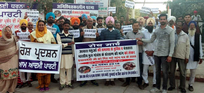 AAP protests govt inaction on stray animal menace