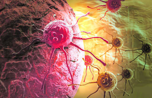 Nobel laureates: Despite progress, cancer won''t be wiped out