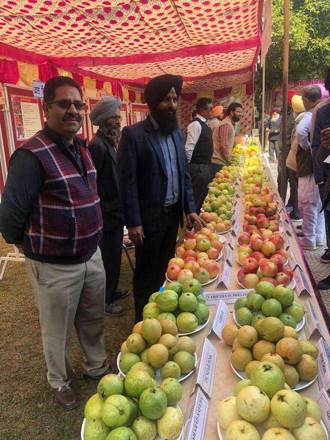 Make use of fruit processing facilities, experts to farmers