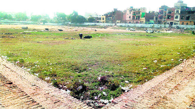 Ponds on verge of extinction in Faridabad to be revived