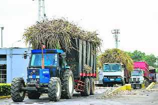 In Mauritius, sugarcane means renewable energy