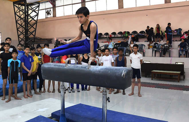 Ankur School win gymnastics title, Aavya adjudged best